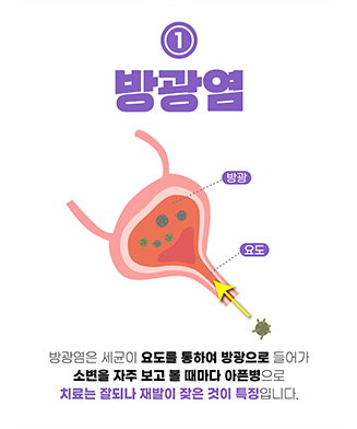 홍보이미지2